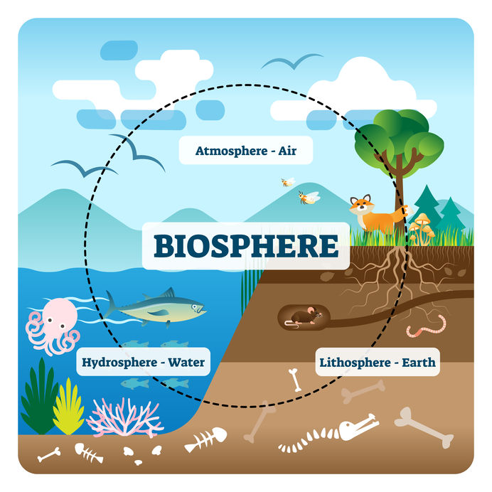 ABR Biosphere