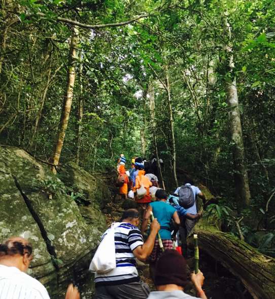 agasthyamala-biosphere-reserve-about-agasthyamalai