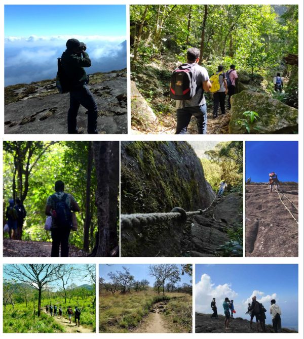 Agasthyamala Trekking