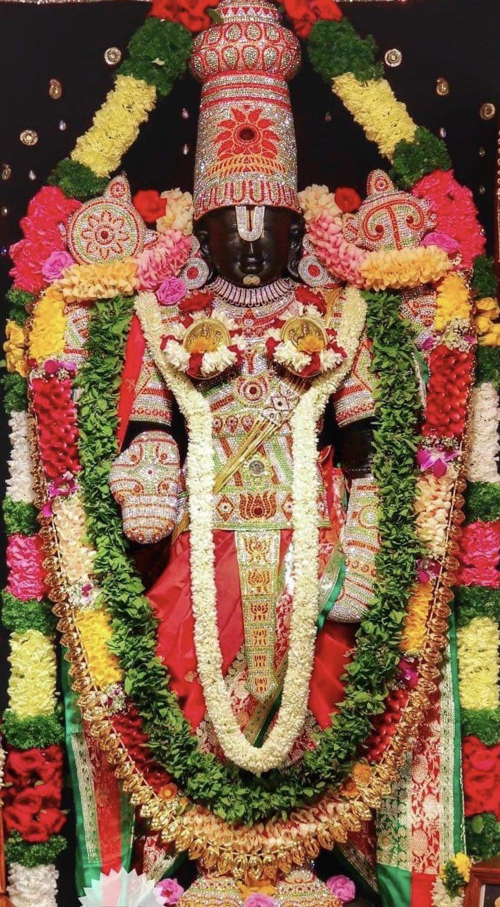 Sri Venkateswara Swamy - Sri Venkateswara Swamy View