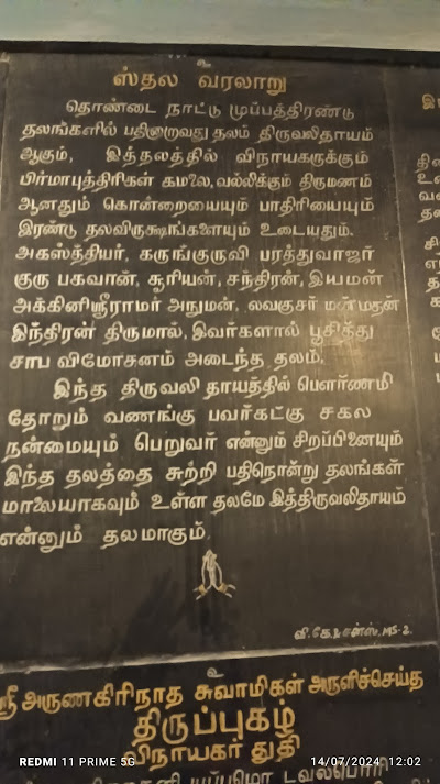 திருவல்லீஸ்வரர் - திருவல்லீஸ்வரர் View