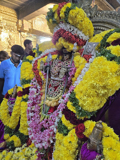 திருவல்லீஸ்வரர் - திருவல்லீஸ்வரர் View